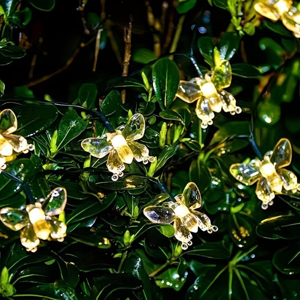 Crystal Butterfly Outdoor Fair - огляд і ціна Outdoor Power For Wedding